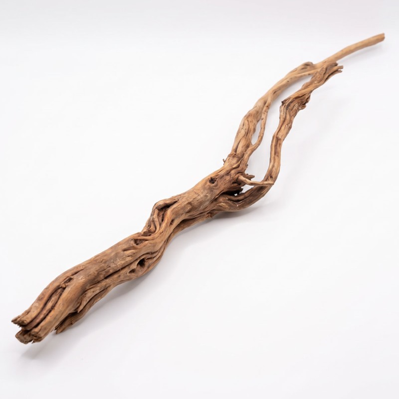 Korzeń Azalea Wood naturalna dekoracja do akwarium i terrarium