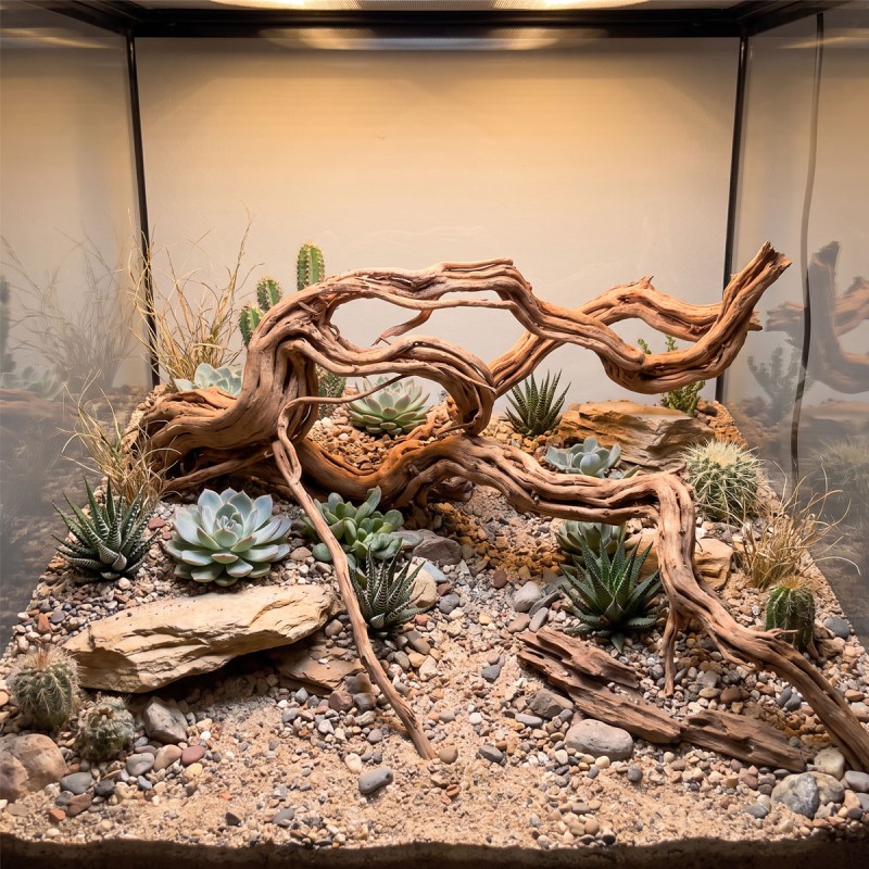 Korzeń Azalea Wood naturalna dekoracja do akwarium i terrarium