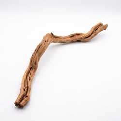 Korzeń Azalea Wood naturalna dekoracja do akwarium i terrarium
