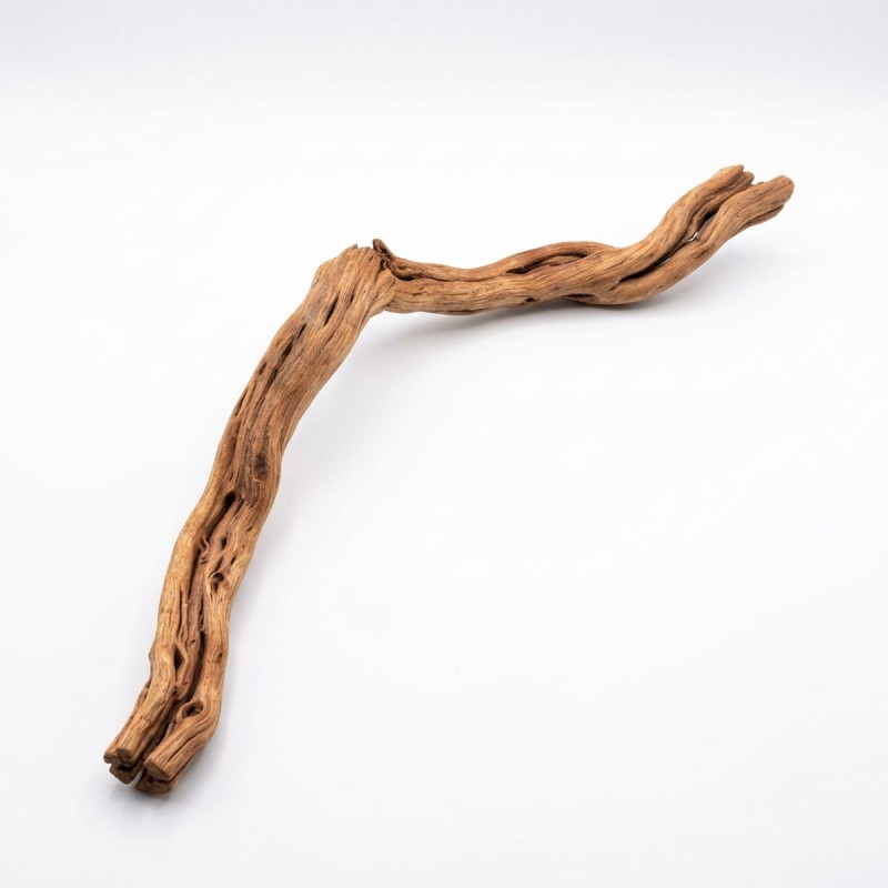 Korzeń Azalea Wood naturalna dekoracja do akwarium i terrarium