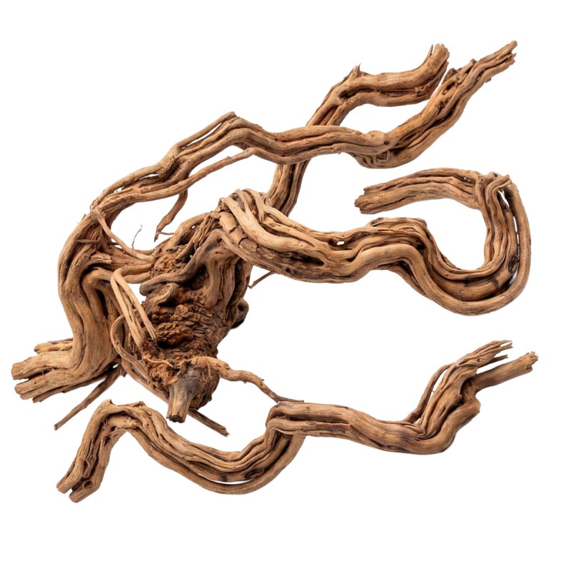 Korzeń Azalea Wood naturalna dekoracja do akwarium i terrarium