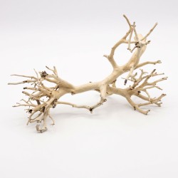 Korzeń do akwarium i terrarium Coral Tree Wood Korzeń do akwarium i terrarium Coral Tree Wood