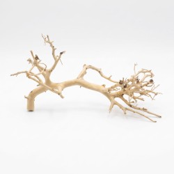 Korzeń do akwarium i terrarium Coral Tree Wood Korzeń do akwarium i terrarium Coral Tree Wood