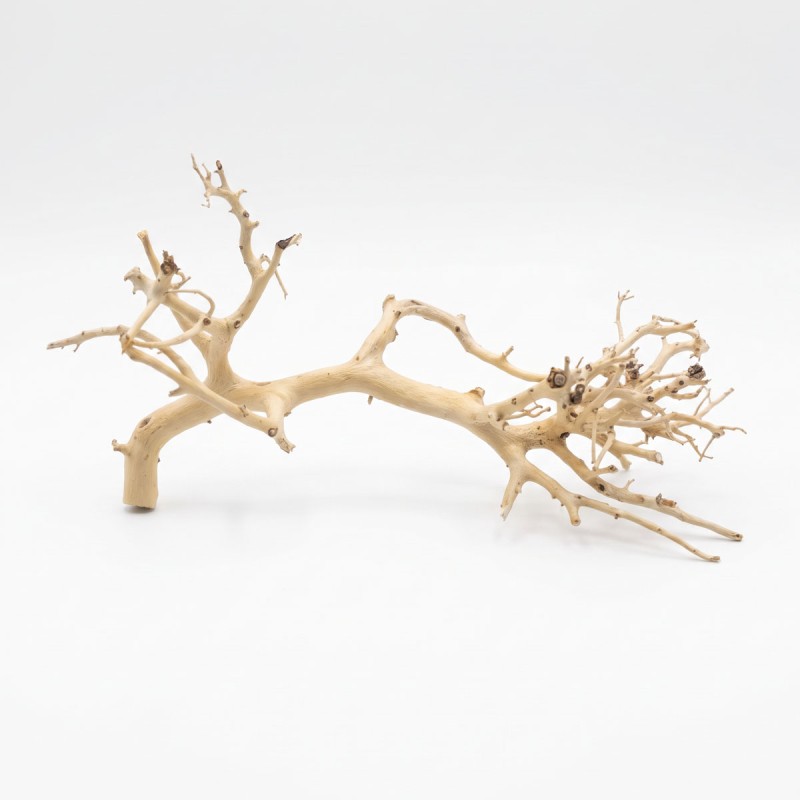Korzeń do akwarium i terrarium Coral Tree Wood Korzeń do akwarium i terrarium Coral Tree Wood