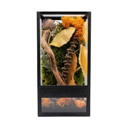Jesienny Zestaw terrarium szklane 10x10x20cm z ramkami
