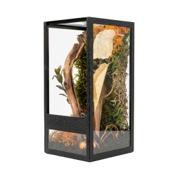 Jesienny Zestaw terrarium szklane 10x10x20cm z ramkami