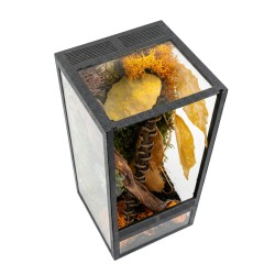 Jesienny Zestaw terrarium szklane 10x10x20cm z ramkami