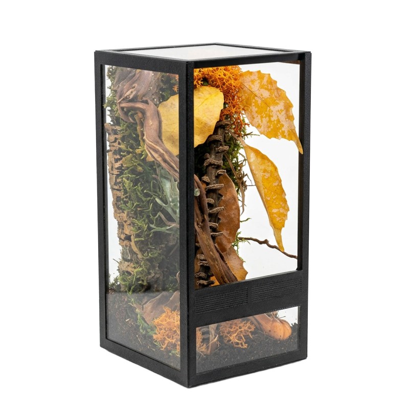 Jesienny Zestaw terrarium szklane 10x10x20cm z ramkami