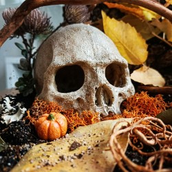 Jesienny Zestaw Halloween dla ptasznika 30x30x20 cm