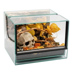 Jesienny Zestaw Halloween dla ptasznika 30x30x20 cm