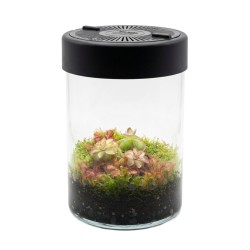 MicroTerrarium 2 L do roślin z oświetleniem LED