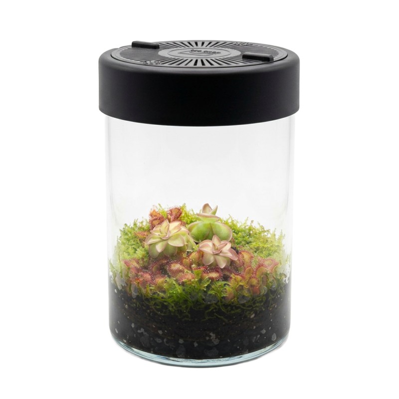 MicroTerrarium 2 L do roślin z oświetleniem LED