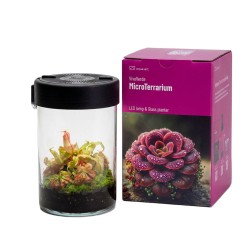 MicroTerrarium 2 L do roślin z oświetleniem LED