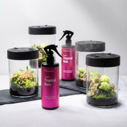 Tropical Rain 500 ml - preparat do zraszania roślin w terrarium