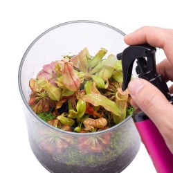 Tropical Rain 500 ml - preparat do zraszania roślin w terrarium