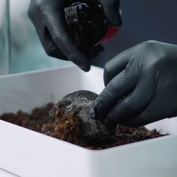 Podłoże dla roślin owadożernych VivoVerde Substrate