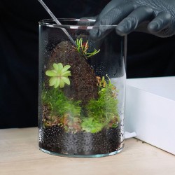 Podłoże dla roślin owadożernych VivoVerde Substrate
