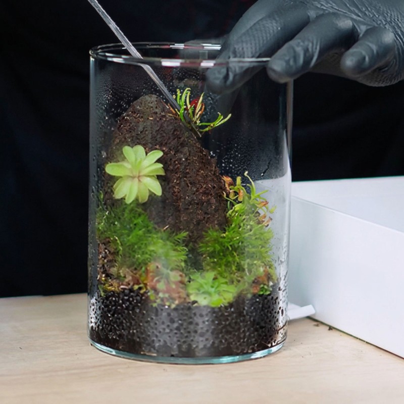 Podłoże dla roślin owadożernych VivoVerde Substrate