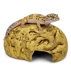 Kryjówka Dragon Burrow 11,5x8,5x5,5 cm ExoPlanet