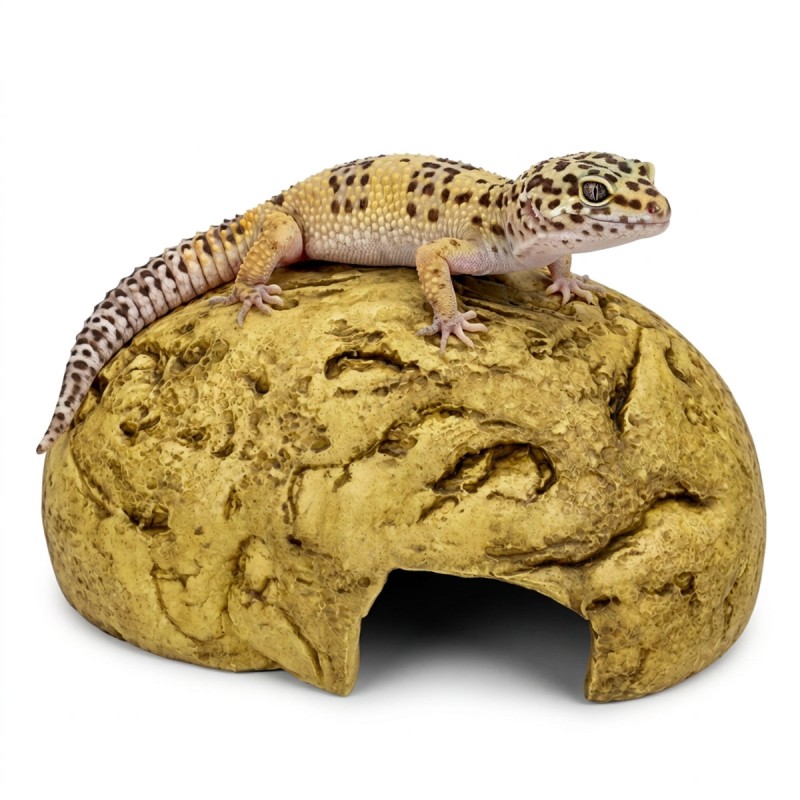 Kryjówka Dragon Burrow 11,5x8,5x5,5 cm ExoPlanet