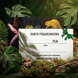 Karta Podarunkowa
