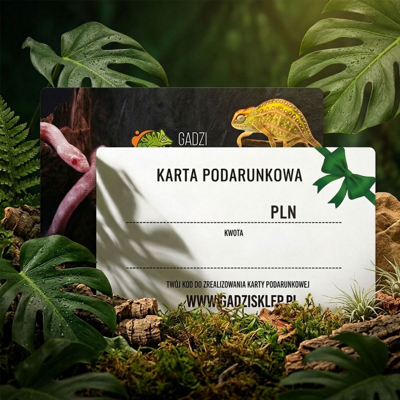 Karta Podarunkowa
