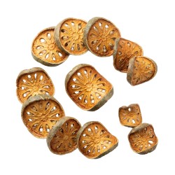 Plastry melona 4-8 cm Plastry melona 4-8 cm