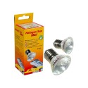 Halogen Sun MINI e27 2 szt. LUCKY REPTILE