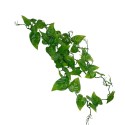 Filodendron 200 cm LUCKY REPTILE Filodendron 200 cm LUCKY REPTILE