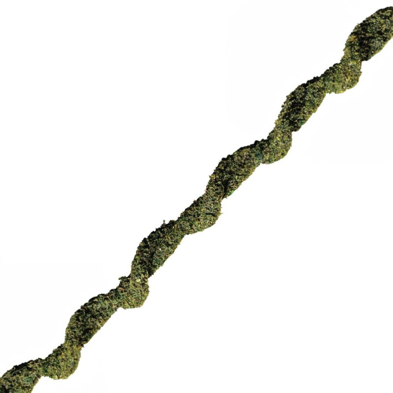 Liana Moss Vine S 200 cm EXO TERRA