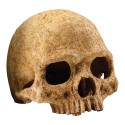 Czaszka ludzka Primate Skull EXO TERRA Czaszka ludzka Primate Skull EXO TERRA