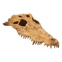 Czaszka Krokodyla 22 cm Crocodile Skull EXO TERRA Czaszka Krokodyla 22 cm Crocodile Skull EXO TERRA