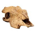 Czaszka Bawoła 23 cm Buffalo Skull EXO TERRA
