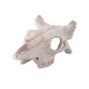 Czaszka bawoła mała 12 cm EXO TERRA