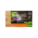 Spagmoss 8L Nowozelandzki Mech torfowiec do roślin 100g BESGROW