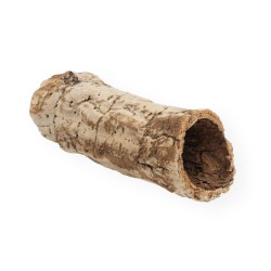 Tuba Korkowa z Brazylii