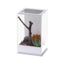 Terrarium akrylowe dla modliszek L Mantis Box Repti-Zoo