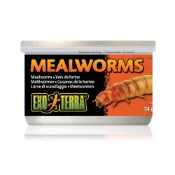 Superworm drewnojady w puszce 34g EXO TERRA