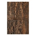 Tło z naturalnego korka 60x45 cm REPTI PLANET
