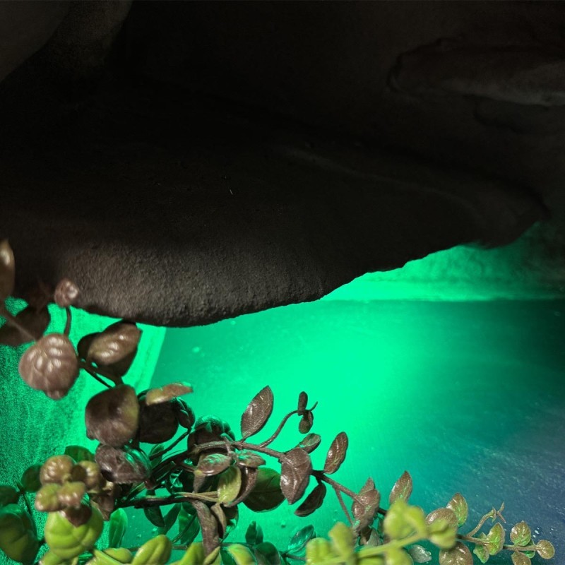 Terrarium z oświetleniem LED Terrarium z oświetleniem LED