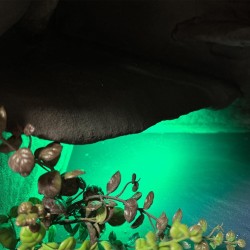 Terrarium z oświetleniem LED