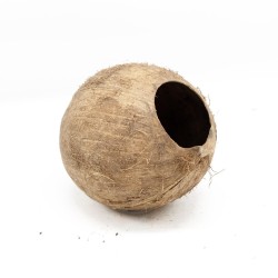 Domek kokosowy cały