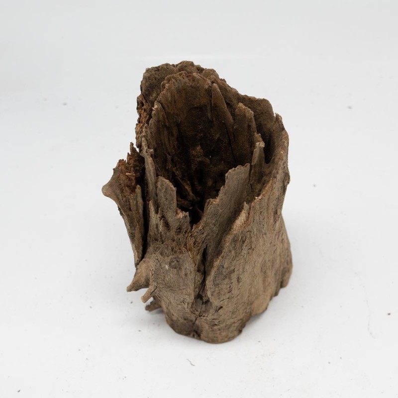Pień Buddy Buddha Stump do terrarium i akwarium