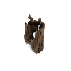 Pień Buddy Buddha Stump do terrarium i akwarium