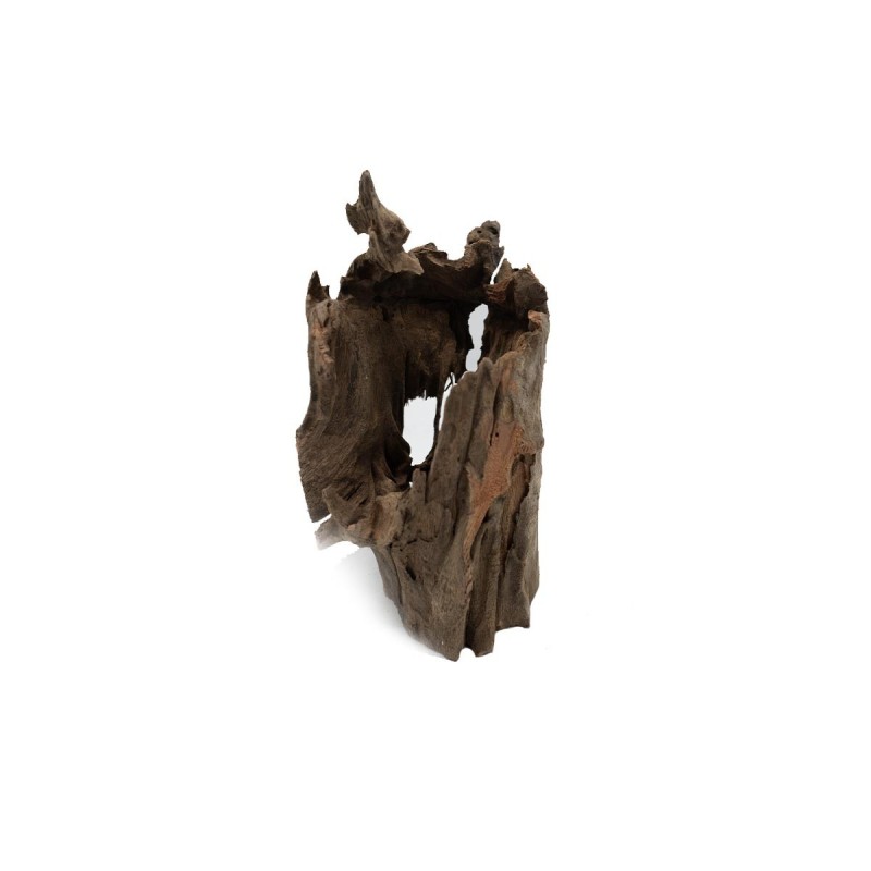 Pień Buddy Buddha Stump do terrarium i akwarium