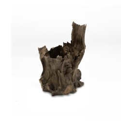 Pień Buddy Buddha Stump do terrarium i akwarium