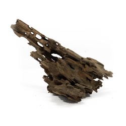 Korzeń Dragon DriftWood Korzeń Dragon DriftWood