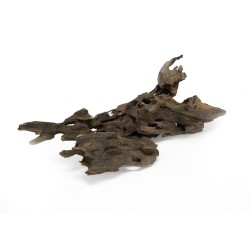 Korzeń Dragon DriftWood do terrarium i akwarium Korzeń Dragon DriftWood do terrarium i akwarium