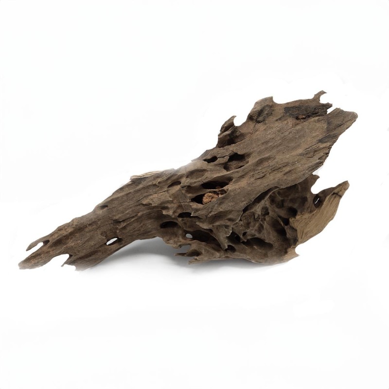 Korzeń Dragon DriftWood do terrarium i akwarium Korzeń Dragon DriftWood do terrarium i akwarium