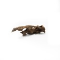 Korzeń Dragon DriftWood Korzeń Dragon DriftWood